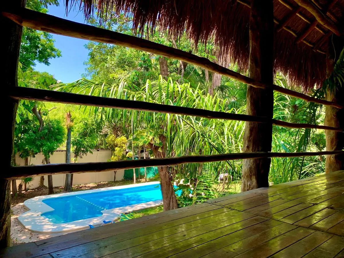 Ammare Hotel Boutique Playa del Carmen